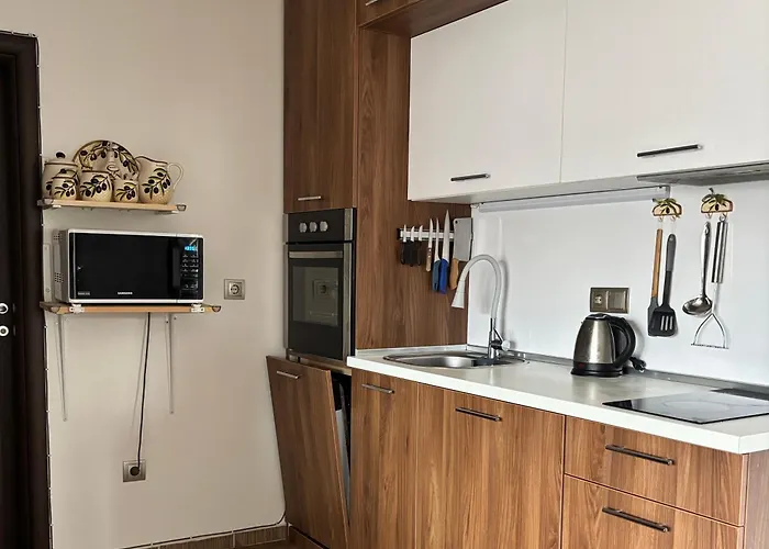 Luxury Rest Dolphin Club Апартаменты Солнечный берег